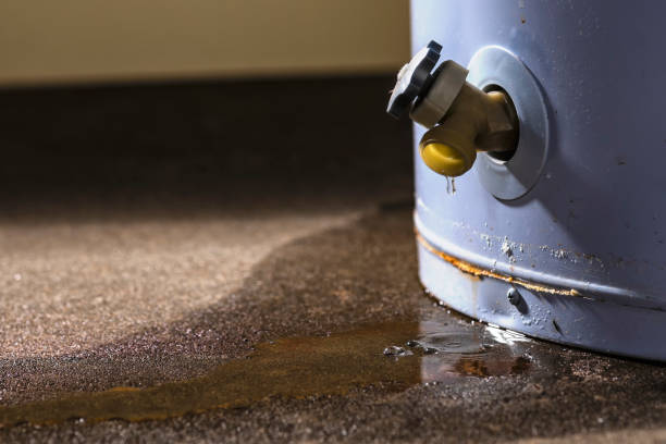 Best Water damage mitigation services  in Cashmere, WA