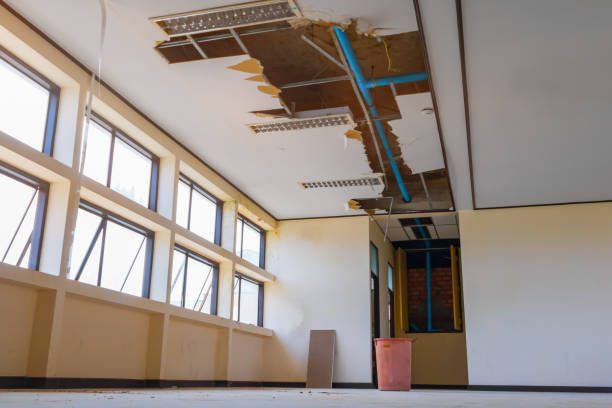 Best Flood damage cleanup  in Cashmere, WA
