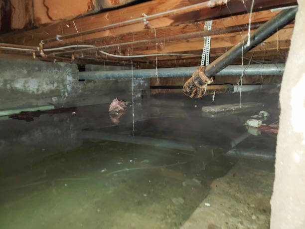 Best Flood restoration services  in Cashmere, WA