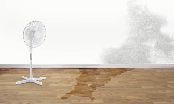  Cashmere, WA Water damage restoration Pros