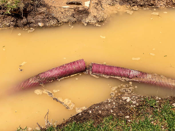 Local water damage restoration in WA