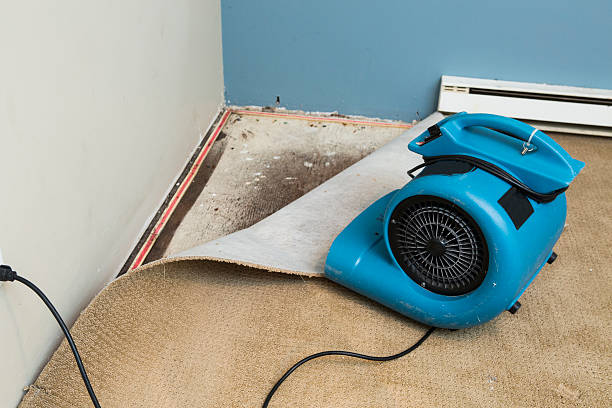 Best Water damage restoration near me  in Cashmere, WA